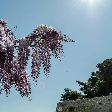 Bed & Breakfast Torre La Mezzaluna 3*